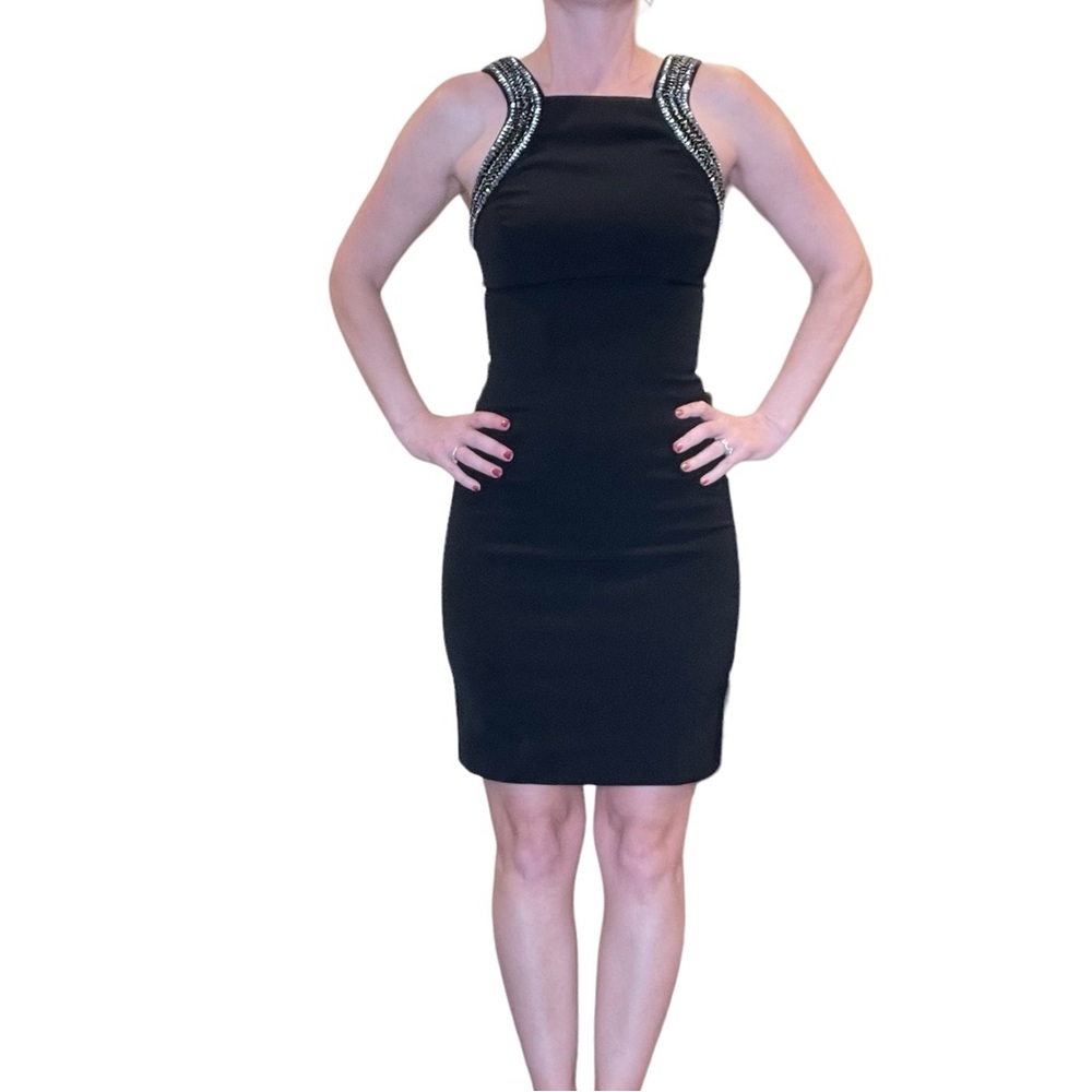 Ted Baker Sesi Dress